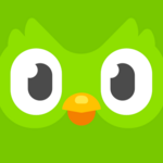 duolingo android application logo